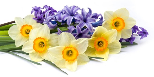 30.09.2018 С днем рождения, Елена Чаунина!!